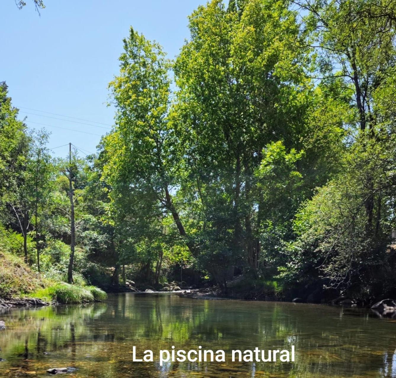 El Nial De Los Pinos Ojedo Exteriör bild